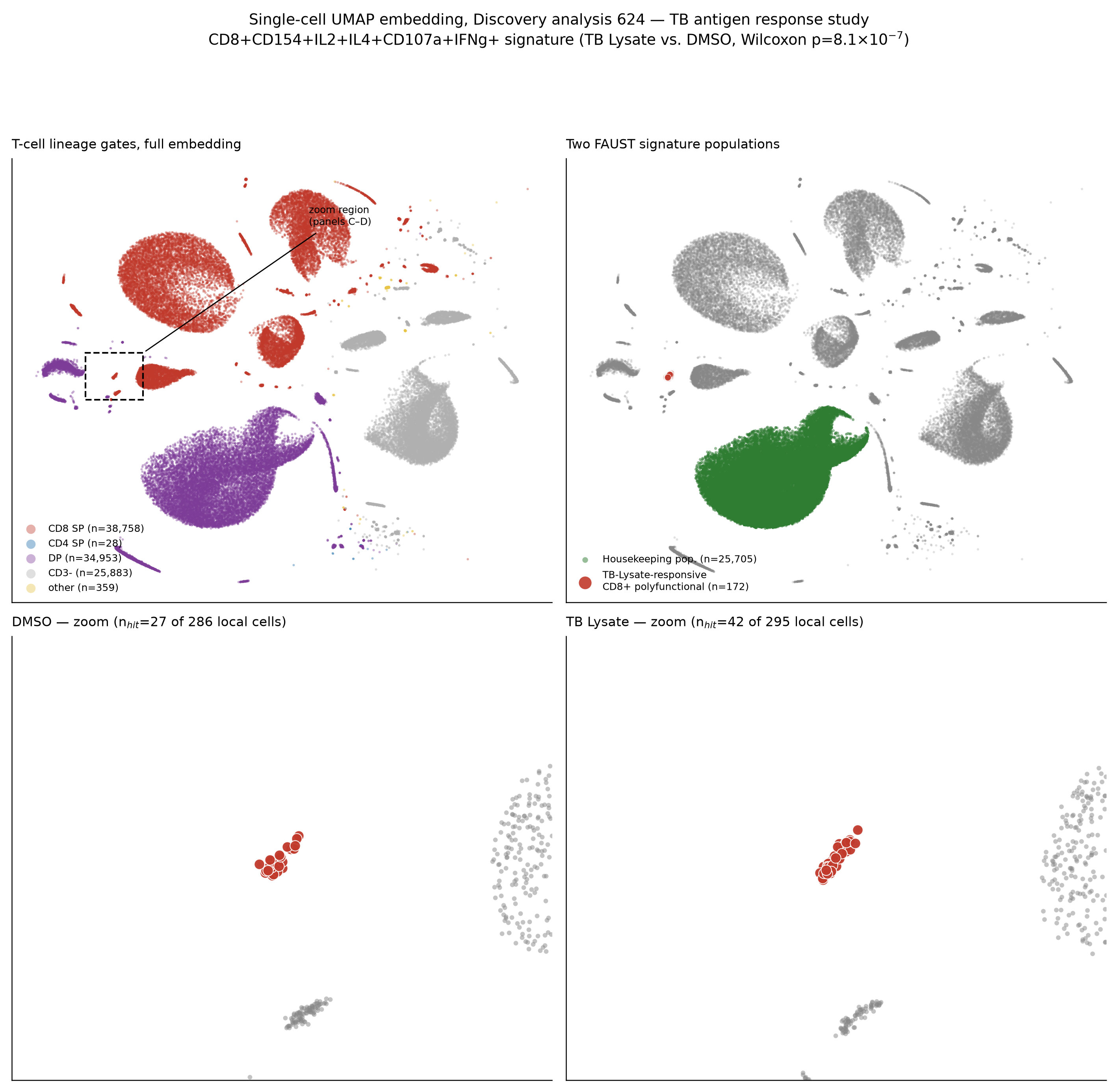 Single-cell UMAP embedding of the Ozette Discovery-annotated populations